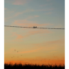 Affiche Coucher de soleil - Photographie n°5 - 30x40