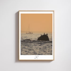 Affiche Coucher de soleil – Photographie n°12 – 30×40